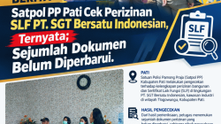 Satpol PP Pati Cek Perizinan SLF PT. SGT Bersatu Indonesian, Ternyata; Sejumlah Dokumen Belum Diperbarui.